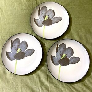 Colorwave Noritake graphite salad plates set of 3 OSK